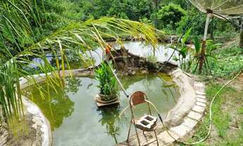 Imagem: CHÁCARA EM GIRASSOL GOIÁS - 20.700m2