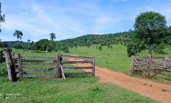 Imagem 6: Fazenda à Venda em Bom Jardim de Goiás 80 Alqueires Ideal para Pecuária