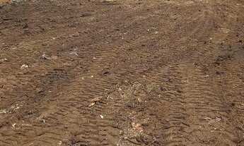 Imagem 5: Terreno Terreno / lote com venda por R$430.000