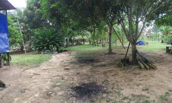 Imagem 4: Vendo Sitio na AM 010 km100