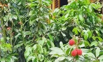 Imagem 4: Casa para Venda em Imbituba, Araçatuba, 4 dormitórios, 1 suíte, 3 banheiros, 3 vagas