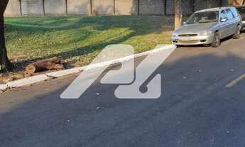 Imagem 2: Terreno - JARDIM SANTA MARCELINA - campinas