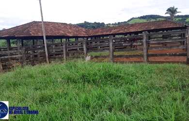 Imagem 3: Fazenda à Venda em Diorama GO