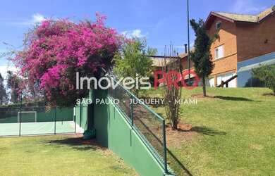 Imagem 7: Dentro das montanhas com vegetação exuberante