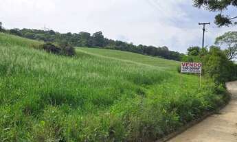 Imagem 4: Imóvel para venda com 100000 metros quadrados em São Caetano - Balsa Nova - PR