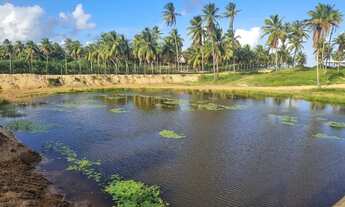 Imagem 2: Lote com um otimo preço - Sunset Beach - rainha dos lotes