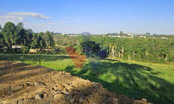 Imagem 4: Área Industrial em Araucária 73.306m Frente PR-423 com Potencial para Galpões