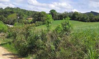 Imagem 6: Imóvel para venda com 100000 metros quadrados em São Caetano - Balsa Nova - PR