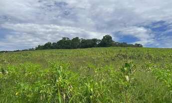 Imagem 2: Lote Residencial em Ibiúna Cercado pela Natureza