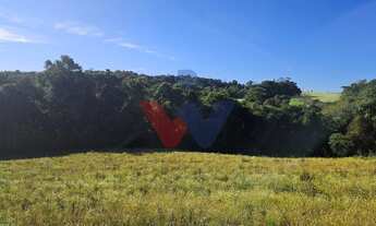 Imagem 6: Chácara 7 Alqueires em Campo Magro Ideal para Plantio e Lazer