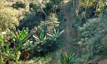 Imagem 3: Chacara em São lourenço da Serra