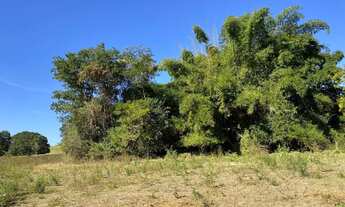 Imagem 3: Chácara de 3.900 mt em trindade com Ribeirão oportunidade!