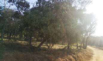 Imagem 5: Vendo sítio condomínio Estância da Mata