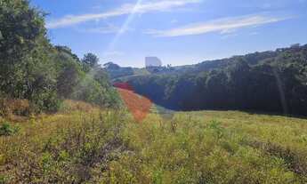 Imagem 7: Chácara 7 Alqueires em Campo Magro Ideal para Plantio e Lazer