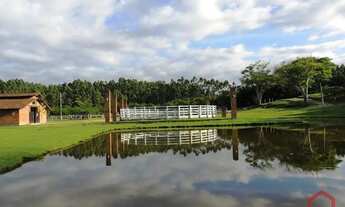 Imagem 4: Área à venda e locação, 70000 m² Aparecida - Portão/RS