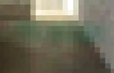 Imagem 4: GALPÃO - CHÁCARA SANTO ANTONIO - SP