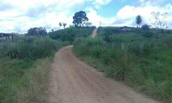 Imagem 2: Fazenda 85 alqueires abel figueiredo pará