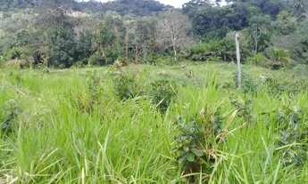 Imagem 2: Fazenda de 26 hectares de cacau em una sul da bahia
