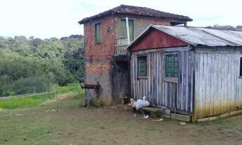 Imagem 4: Fazenda de 26 hectares de cacau em una sul da bahia