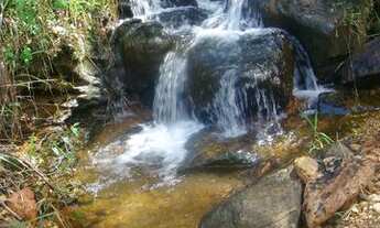 Imagem 2: Linda Fazenda Boa Vista Corgo Novo - Serrinha