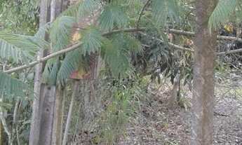 Imagem 3: Chácara 1000 metros Piedade sp