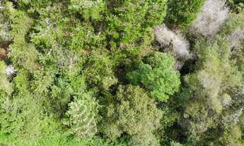 Imagem 2: Terreno à venda na Vila Porã - Campos do Jordão/SP