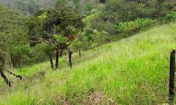 Imagem 2: Fazenda Fazenda / sítio com venda por R$80.000