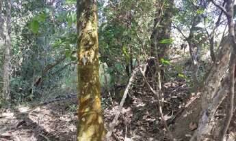 Imagem 6: Chácaras parceladas próximo a Anápolis