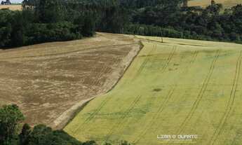Imagem 2: Chácara para Venda em Rio Preto Mafra-SC