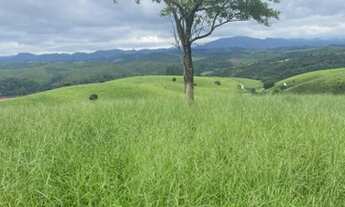 Imagem: 10.000m² de terra na Represa de Igaratá