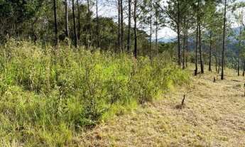 Imagem 6: Terrenos na planta