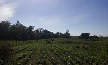 Imagem 3: Sítio de barbada