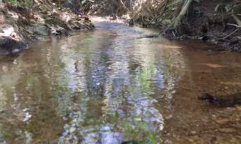 Imagem 3: Chácaras parceladas próximo a Anápolis