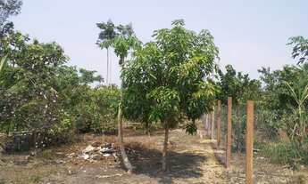 Imagem 5: Vende-se terreno