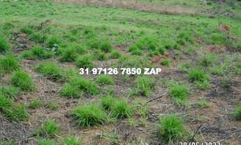 Imagem 4: Chácaras 1.000 mts planas água luz pronto pra construir em Ravena só 45 mil