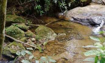Imagem 5: Terreno à venda, 3580 m² por R$ 220.000,00 - Fazenda Inglesa - Petrópolis/RJ