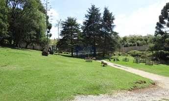 Imagem 5: Curitiba - Casa Padrão - Santa Felicidade