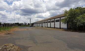 Imagem 3: Ribeirao Preto - Galpão/Depósito/Armazém - Jardim Ouro Branco