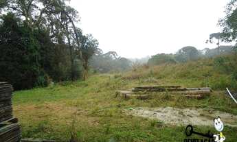 Imagem 5: Área à venda, 120000 m² por R$ 7.200.000,00 - Contenda - São José dos Pinhais/PR