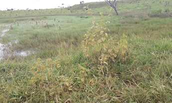 Imagem 6: FAZENDINHAS PERTINHO DO ASFALTO