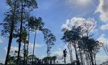 Imagem: Terreno à venda na Augusto Montenegro