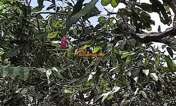 Imagem 7: Bairro: Centro Valor: R$ 380.000,00