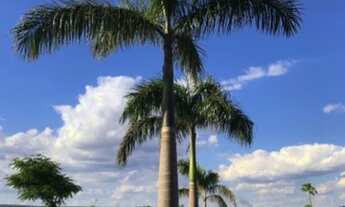 Imagem 5: Chácara Chácara com venda por R$240.000