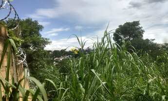 Imagem 5: Terreno à venda, 1216 m² por R$ 700.000,00 - Bandeirantes (Pampulha) - Belo Horizonte/MG