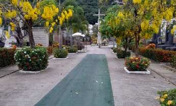 Imagem 2: BOTAFOGO; JAZIGO DUPLO PERPÉTUO NA ÁREA NOBRE