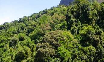 Imagem 5: VISTA LIVRE, INDEVASSADO, 3 QUARTOS, 1 VAGA