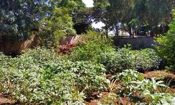 Imagem 4: Chacara em Maringa