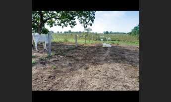 Imagem 2: Faz 158 Alq oportunidade 70 mil o Alqueires