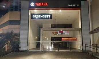 Imagem 3: Salão para alugar, 240 m² por R$ 15.000,00/mês - Parque Estoril - São José do Rio Preto/SP