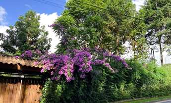 Imagem: Venda de Apartamento em São Paulo